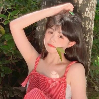 数码争霸手游下载